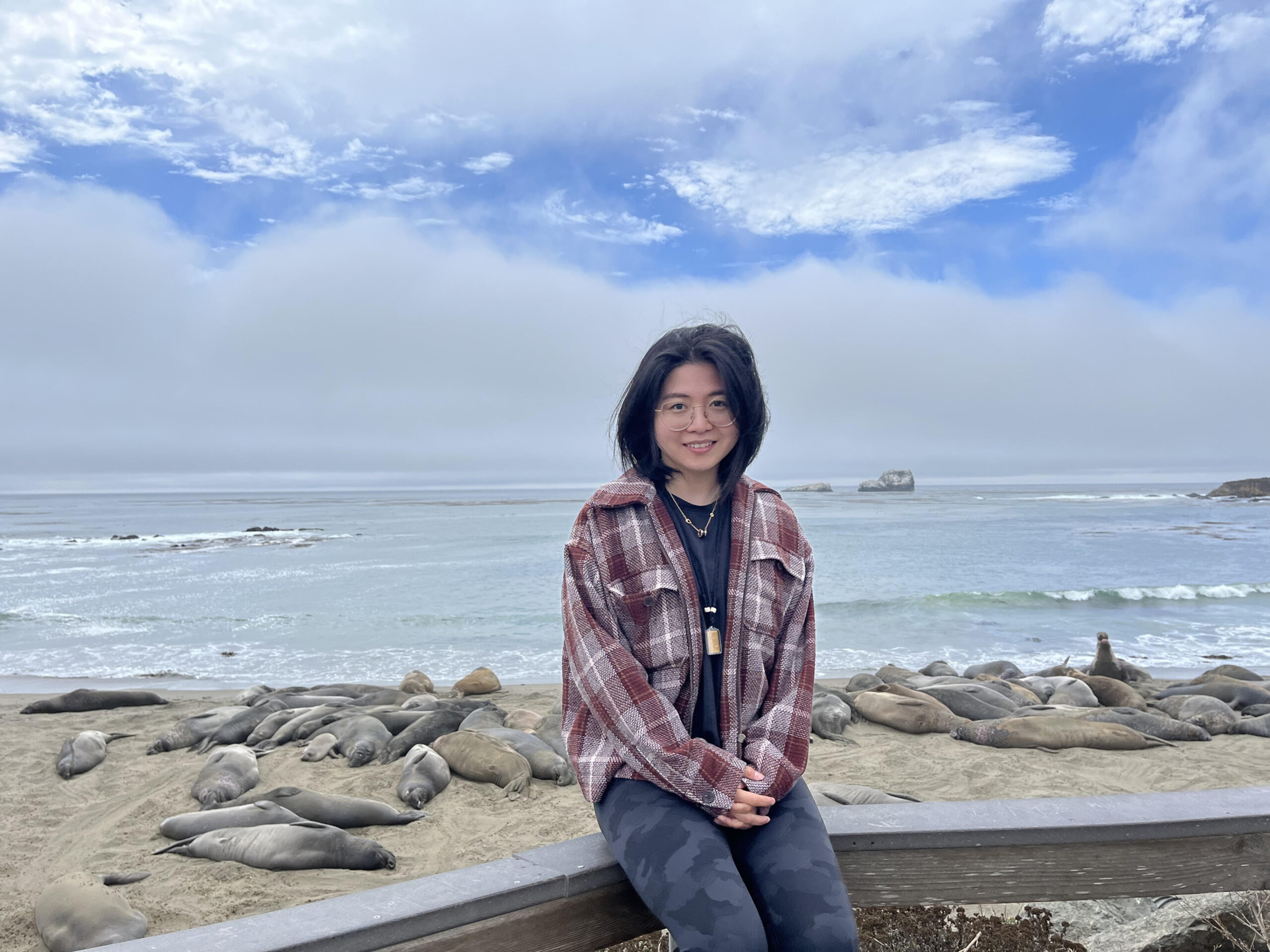 Hengrui Cai sitting on a rail with elephant seals and ocean in the background.